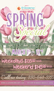 Spring special flyer